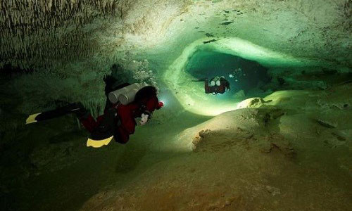 Nhóm thợ lặn tham gia dự án GAM. Ảnh: Independent