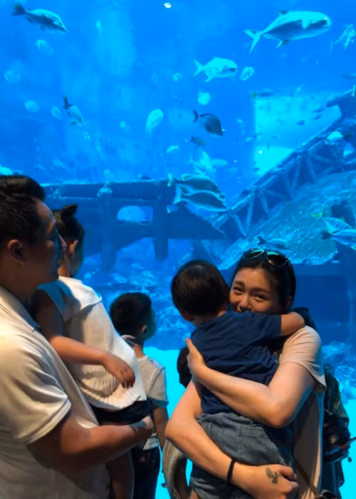Vợ chồng Đại S đã đưa con gái và con trai đi chơi ở thủy cung trong những ngày đầu năm.