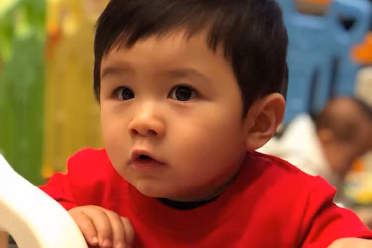 Bé Thiên Từ trông khá bụ bẫm, đáng yêu. Cách đây không lâu, cậu nhóc được bố mẹ đưa về Việt Nam thăm gia đình nội.