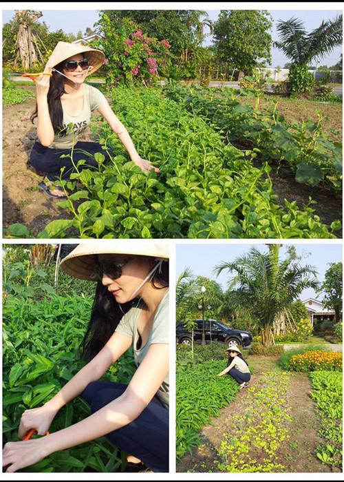 Ngô Mai Trang khoe vườn rau xanh tốt cận Tết Nguyên Đán.