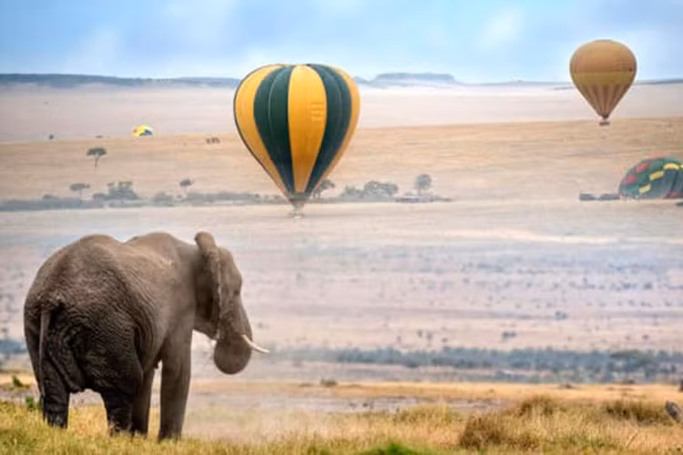 10. Khinh khí cầu ở Kenya: Nhiều người thể hiện sự lãng mạn của mình bằng một chuyến đi trên khinh khí cầu, đặc biệt là khi mặt trời mọc ở công viên quốc gia Masai Mara. Những cặp đôi có thể thưởng thức bữa ăn sáng với rượu sâm panh ở trên không, vừa ngắm bình minh vừa ngắm các loài động vật hoang dã bên dưới. Giá lều mỗi đêm :900$/lều/đêm, sử dụng khinh khí cầu thì 450$/người