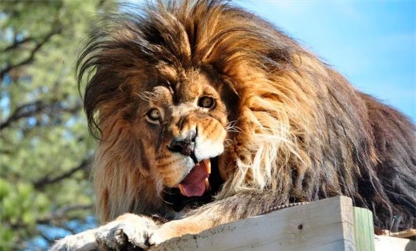 Rốt cục thì phải cười như thế nào thì mới hợp gu nhiếp ảnh đây.