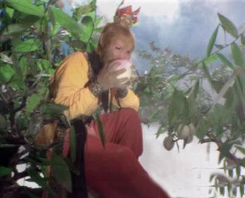 Tiên dược thứ 2 chính là đào tiên. Khi còn ở thiên đình, Tôn Ngộ Không đã trải qua hai công việc đó là nuôi ngựa và được gọi là Bật Mã Ôn, thứ hai là trông coi vườn đào tiên.