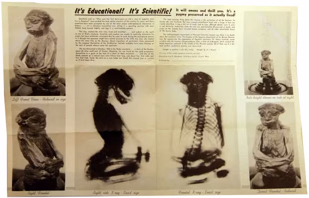 Trong khi đó, vẫn có những người tin rằng xác ướp Pedro là bằng chứng của một chủng tộc giống yêu tinh được đề cập trong truyền thuyết của người dân bản địa hoặc là bằng chứng về một sinh vật ngoài hành tinh.