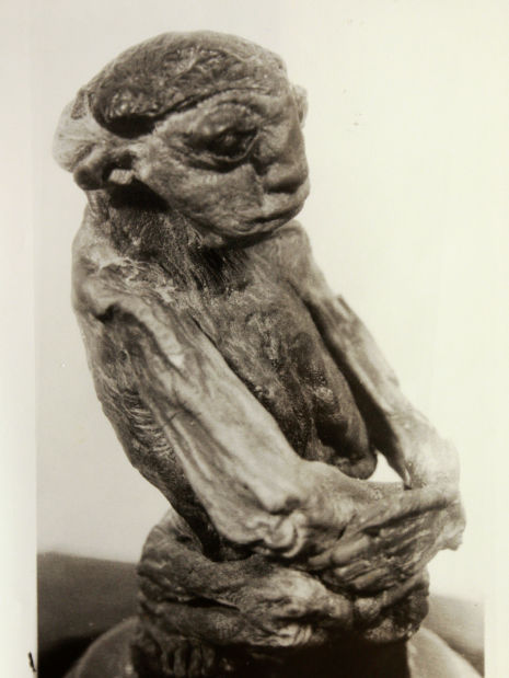 Vì xác ướp mất tích không dấu vết nên những bí ẩn về Pedro vẫn tồn tại cho đến ngày nay. Rất nhiều thắc mắc như Pedro đến từ đâu, liệu “anh ta” có bị bệnh tật hay tình trạng bẩm sinh nào không, chất sền sệt trên đầu xác ướp là gì và làm thế nào để thi hài được niêm phong trong một lớp đá dày, … chỉ có thể được giải đáp khi xác ướp Pedro xuất hiện một lần nữa.