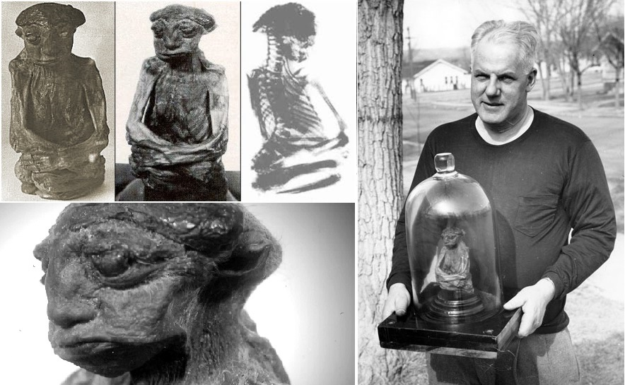 Người ta nói rằng nó từng được trưng bày trong các buổi trình chiếu vào những năm 1940 và sau đó được một người tên Ivan Goodman mua lại. Sau cái chết của Goodman vào năm 1950, xác ướp được chuyển cho một người đàn ông tên Leonard Waller (có báo cáo ghi là Walder) nhưng nó đã không được nhìn thấy kể từ đó.