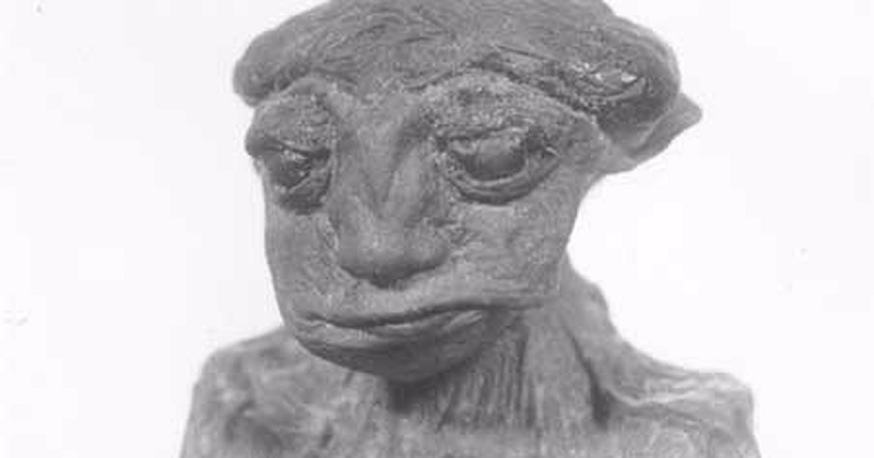 Nhiều năm sau khi phát hiện ra Pedro, người ta tiếp tục sử dụng tia X để khám phá cái xác và kết quả đã chứng minh đây là một cơ thể thực sự. Bên dưới phần da thịt nhăn nheo là một cấu trúc bộ xương gần như hoàn chỉnh.