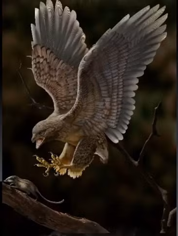 "Chúng tôi theo dõi những thay đổi của xương bả vai xuyên suốt quá trình chuyển đổi từ khủng long chân thú sang chim và nhận thấy xương bả vai dài ra có thể làm tăng lợi thế cơ học của cơ đối với việc co/xoay xương cánh tay, giúp bù đắp cho khả năng bay kém phát triển ở loài chim sơ khai này", Wang nói.