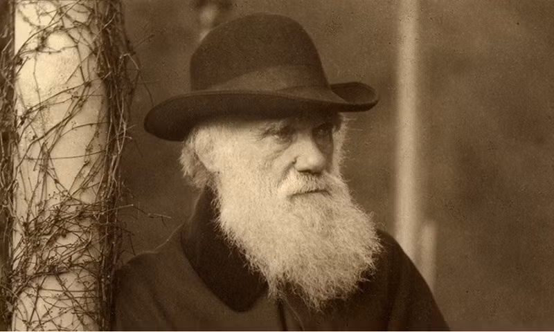 5. Charles Robert Darwin: là một nhà nghiên cứu người Anh nổi tiếng trong lĩnh vực tự nhiên học. Chúng ta thường biết tới ông qua lý thuyết sàng lọc tự nhiên - lý thuyết thống nhất cho khoa học sinh học, vì có thể đưa ra lời biện bạch duy lý cho sự sung túc loài.