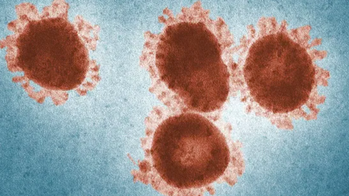 Năm 2023, nhà tiên tri Athos Salomé còn cho rằng sẽ xuất hiện một loại "virus thây ma" tại Nam Cực. Tuy nhiên, anh chưa thể nhìn thấu được sức tàn phá của loại virus này nên không rõ nó có ảnh hưởng đến cuộc sống của con người hay không, liệu có khả năng gây ra một đại dịch kinh hoàng như COVID-19 hay không.