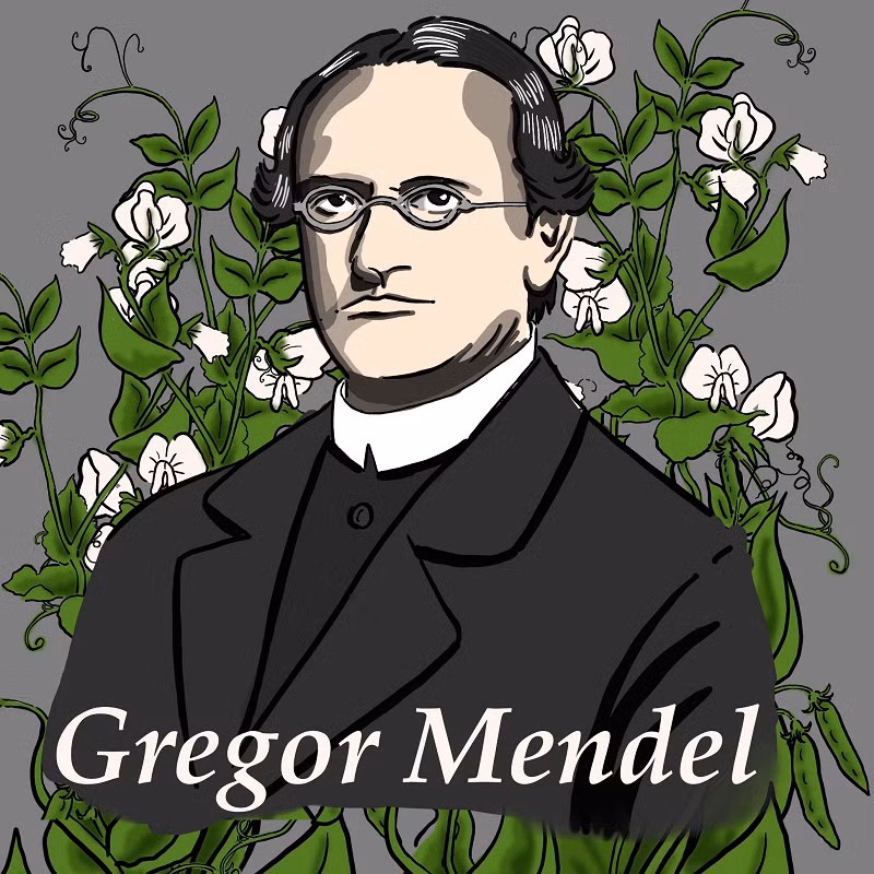 Nhân sinh nhật lần thứ 200 của Gregor Mendel - cha đẻ ngành di truyền học, các nhà nghiên cứu Đại học Masaryk ở Ukraine, Tu viện Augustinian và các tổ chức khác vào năm 2022 đã quyết định khai quật hài cốt ông.