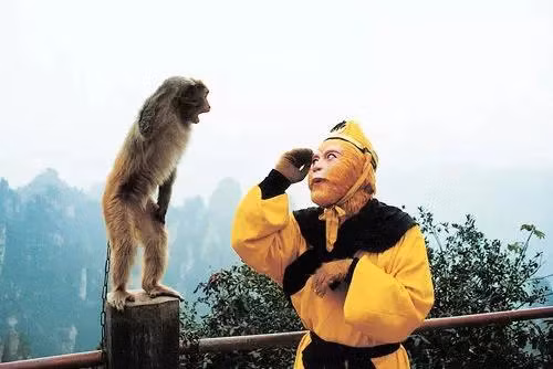 Thức địa đôi khi còn được Tôn Ngộ Không dùng cùng lúc với phép Thỉnh tiên để hỏi ý kiến Thổ Địa hoặc các vị thần tiên khác về nguồn gốc, tội ác cũng như sức mạnh của mỗi loại yêu quái gặp phải trên đường thỉnh kinh.