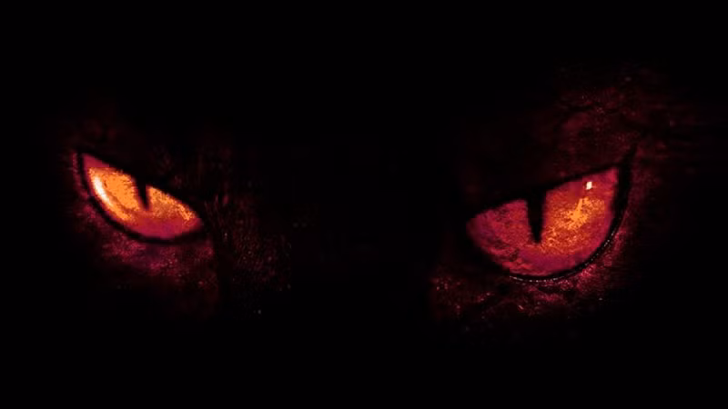 Bat ngo 12 dieu la lung van con ton tai den ngay nay-Hinh-2