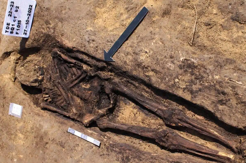 Tổng thư ký Hội đồng cổ vật tối cao Ai Cập Mostafa Waziri khẳng định “đây là một khám phá khoa học và khảo cổ rất quan trọng vì nó sẽ viết lại lịch sử của Damietta”.