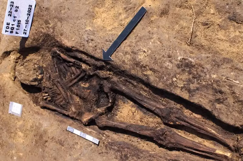 Tổng thư ký Hội đồng cổ vật tối cao Ai Cập Mostafa Waziri khẳng định “đây là một khám phá khoa học và khảo cổ rất quan trọng vì nó sẽ viết lại lịch sử của Damietta”.