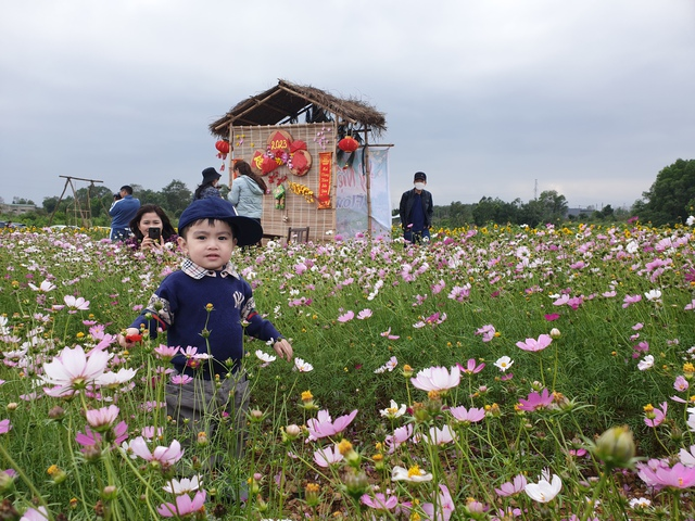 Cháu bé thích thú khi được vui đùa giữa vườn hoa rực rỡ.