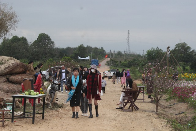 Vườn hoa này cách không xa khu vực trung tâm TP. Đồng Hới nên việc di chuyển khá thuận lợi với du khách.