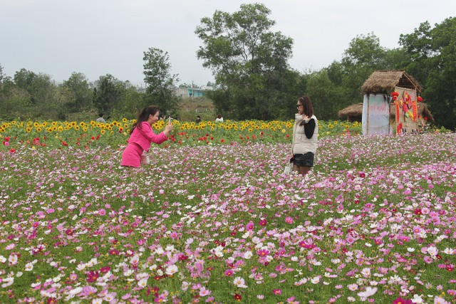 Anh Cảnh cho biết thêm, vườn hoa đã mở cửa đón khách từ ngày mùng 1 Tết, lượng khách trung bình khoảng 400 lượt người/ngày. Du khách thường chọn thời điểm trời không mưa, nắng nhẹ để thuận tiện tham quan và có những bức hình đẹp.