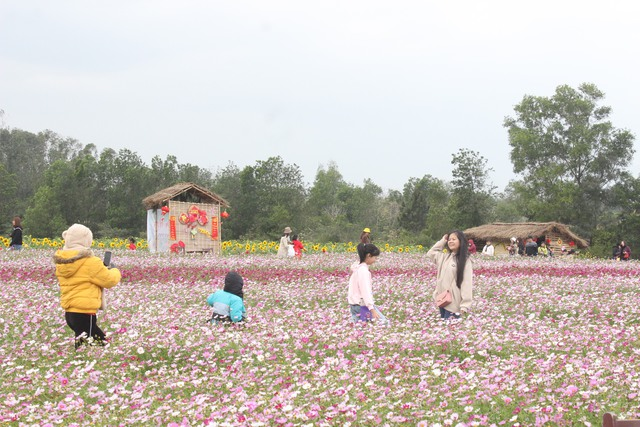 Anh Nguyễn Văn Cảnh (SN 1979), chủ vườn hoa cho biết, bản thân sinh ra trên vùng đất có truyền thống trồng hoa. Với mong muốn quảng bá hình ảnh tươi đẹp của địa phương tới đông đảo du khách, đặc biệt là dịp đầu Xuân nên từ ý tưởng vườn hoa đa sắc đã được anh và cộng sự tiến hành thực hiện.