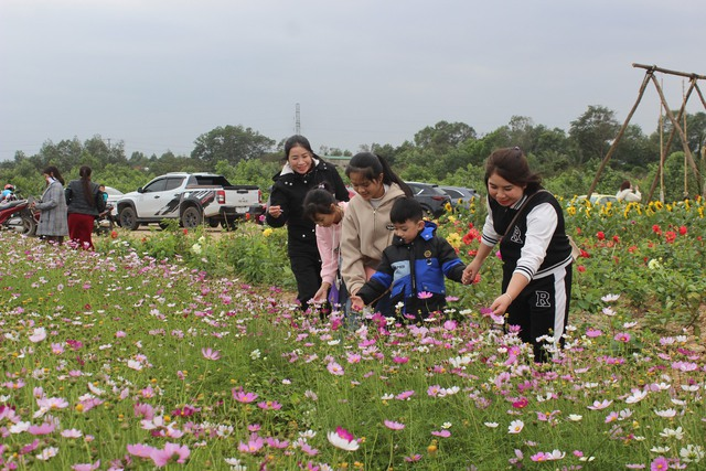 Chị Phan Thu Trang (SN 1985), trú xã Đại Trạch, huyện Bố Trạch cùng người thân đã chọn vườn hoa ở xã Lý Trạch làm địa điểm để cùng tụ họp du xuân. "Tôi cùng chị và các cháu chở nhau đến vườn hoa này để ngắm cảnh và chụp hình dịp đầu xuân. Ở đây nhiều loài hoa đẹp, không khí trong lành thật phù hợp để cùng người thân chụp những bức hình đẹp", chị Trang chia sẻ.