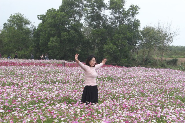 Tấm thảm rực rỡ từ hoa cỏ chính là background tuyệt vời nhất cho những bức hình đẹp.