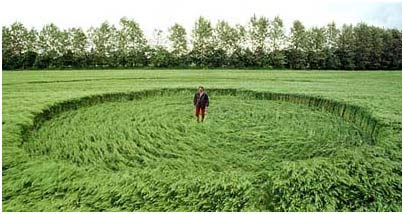 Chiếc đĩa bay có màu kẽm xỉn này sau đó cất cánh gần như ngay lập tức, để lại những vết cháy. Các nhà điều tra đã chụp ảnh, thu thập và phân tích mẫu. Cho tới nay, vẫn chưa có lời giải thích thỏa đáng nào được đưa ra.