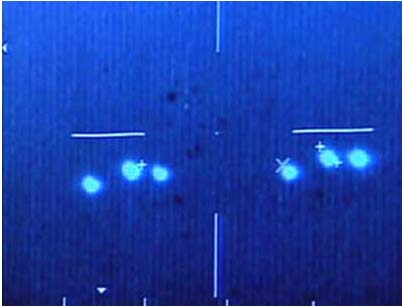 Công chúng quan tâm đông đến mức các máy chủ đã bị nghẽn mạch chỉ vài giờ sau khi website ra mắt. Trang web được tổ chức rất chặt chẽ và chuyên nghiệp, thậm chí có cả ảnh scan của hồ sơ cảnh sát.