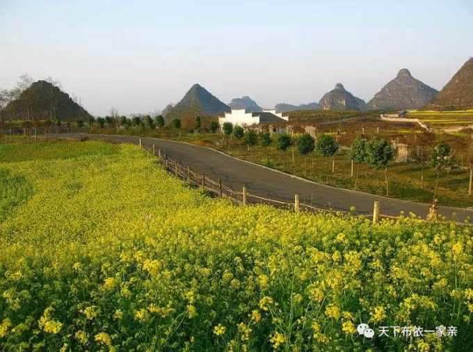 Đây có phải là sự trùng hợp ngẫu nhiên hay ứng nghiệm của lời nguyền đến nay vẫn còn là bí ẩn.