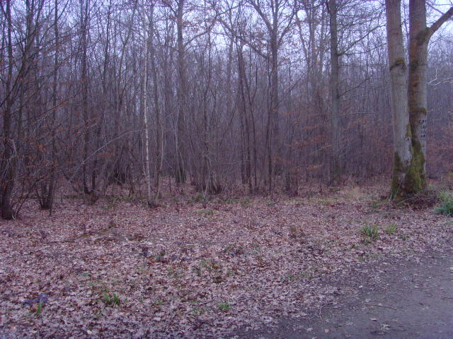 Sách kỷ lục Guinness đã từng có một danh mục cho "ngôi làng bị ma ám nhất ở Anh" và Pluckley từng được ghi tên. Người ta kể lại vào những đêm mùa đông lạnh buốt, dân làng tự nhốt trong nhà không dám ra ngoài đường thì đó chính là ngày cho ma quỷ tụ tập và than khóc khắp làng.