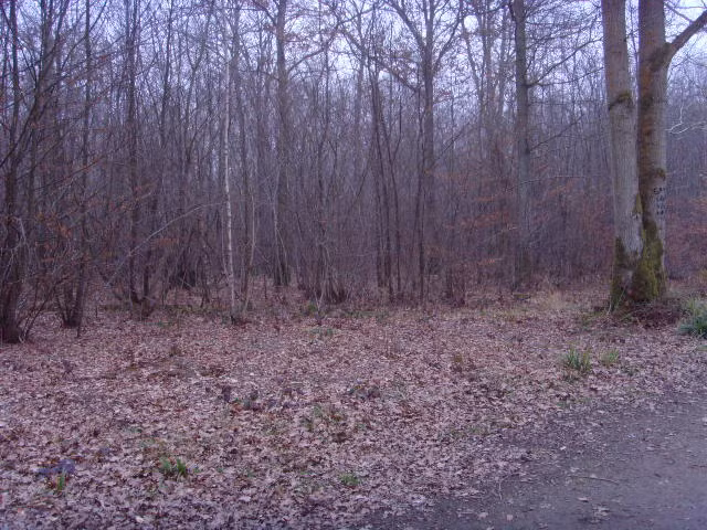 Sách kỷ lục Guinness đã từng có một danh mục cho "ngôi làng bị ma ám nhất ở Anh" và Pluckley từng được ghi tên. Người ta kể lại vào những đêm mùa đông lạnh buốt, dân làng tự nhốt trong nhà không dám ra ngoài đường thì đó chính là ngày cho ma quỷ tụ tập và than khóc khắp làng.