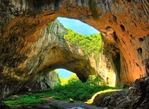 Điểm hấp dẫn bậc nhất của hang Sơn Đoòng là những khu rừng rậm, thảm thực vật đa dạng, mọc lên như nấm trong hang, cùng các nhũ thạch, măng đá cao, hố sụt và ngọc trai hang động.