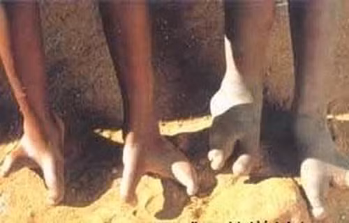 Nelson, một nhà biên soạn niên sử, đã tình cờ phát hiện ra tộc người kỳ lạ này trong một chuyến dã ngoại tại phía tây nam Zimbabwe.