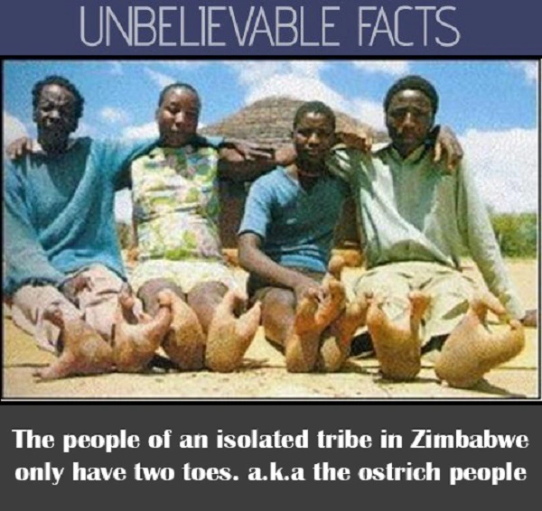 Theo giả thiết của Nelson, nhiều năm về trước, người phụ nữ có đôi chân hai ngón từ thung lũng Zambezi ở Mozambique đã tới vùng tây nam Zimbabwe sinh sống. Khi cô kết hôn với một thổ dân tại đây và sinh con đẻ cái, những đứa trẻ thừa hưởng gene của cô cũng có bàn chân giống mẹ.