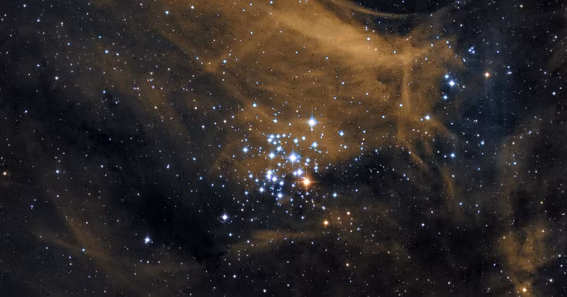 Tổng cộng các cụm sao sáng chói này chứa hơn 6.000 ngôi sao trẻ hình thành cùng thời gian, chí mới 7-25 triệu năm tuổi. Chúng được đem đối chiếu với các ngôi sao khác còn trẻ hơn mà Chandra đã ghi nhận trước đó, khoảng 500.000 tuổi.