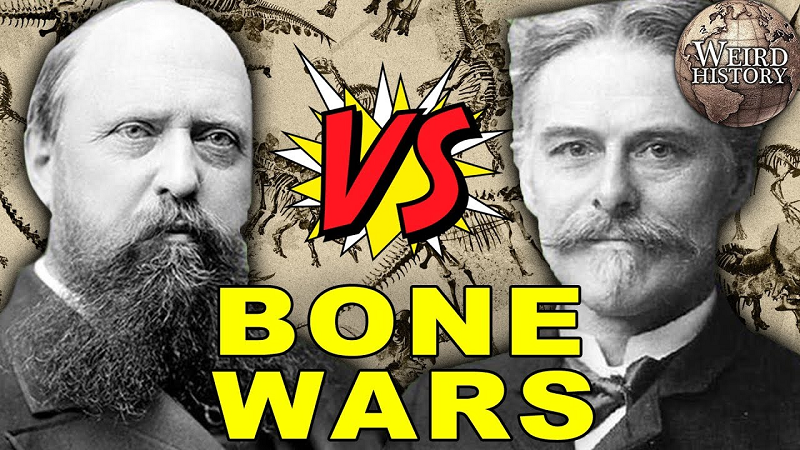 Tuy nhiên, hai nhà nghiên cứu đã có những đóng góp to lớn trong lĩnh vực cổ sinh học: Những con khủng long biểu tượng như Stegosaurus, Triceratops, Diplodocus và Apatosaurus đều được khai quật nhờ nỗ lực của họ.