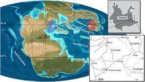 Đặc biệt nhất là 121 đốt sống của nó vẫn được bảo tồn nguyên vẹn.