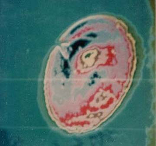 Mới đây, Australia cũng công bố tài liệu mật về UFO được “giấu nhẹm” suốt 30 năm qua.