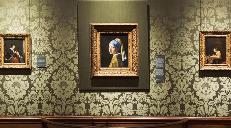 Trong khi đó, đặc tính của ngọc trai là mang lại ánh sáng trắng mềm mại. Việc một người được gọi là bậc thầy về sử dụng ánh sáng như Johannes lại vẽ nên một viên ngọc trai sáng bóng hơn bình thường đã gây bối rối cho các chuyên gia.