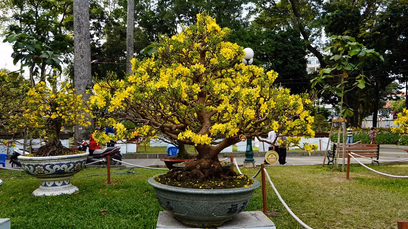 Chiem nguong nhung tac pham dac sac o hoi hoa xuan 2023 tai TP.HCM