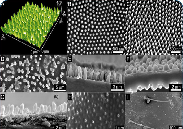Khi quan sát bề mặt cánh ve dưới kính hiển vi các nhà khoa học đã tìm thấy một lớp phủ nano tự nhiên được gọi là "nanopillars". Chúng là các cột phân tử axit béo, cao khoảng 400nm và xếp san sát nhau.