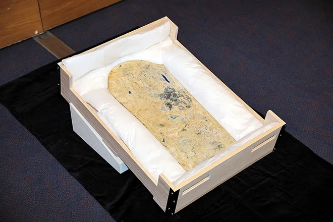 Chiếc gương khắc những hoa văn phức tạp ở mặt sau và được các chuyên gia ca ngợi là một kiệt tác đồ đồng từ Thời kỳ Kofun (thế kỷ 3 - 7). Nó dài khoảng 64 cm và rộng khoảng 31 cm. Gương đồng tại các địa điểm khảo cổ thường hình tròn, nhưng chiếc này lại hình khiên.