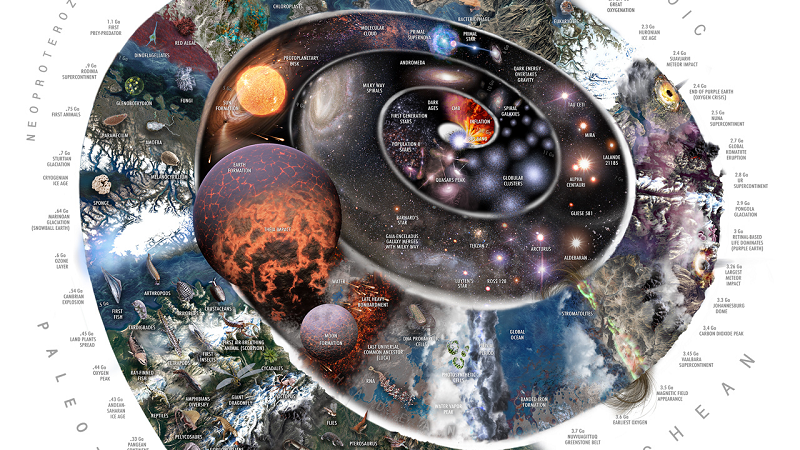 Nguyên nhân chính của hiện tượng này là tốc độ tiến hóa trong kì Cambri diễn ra nhanh hơn chút ít so với các giai đoạn khác. Các số liệu tính toán hoàn toàn phù hợp với lý thuyết tiến hóa của Darwin.