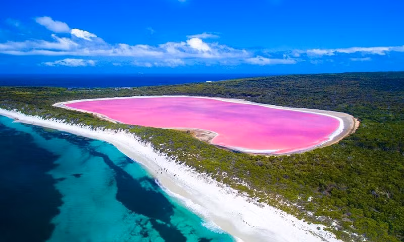 Hồ Hillier là một hồ nước màu hồng ở Đảo Middle, bao quanh là đại dương mênh mông và là đảo lớn nhất trong số những hòn đảo tạo thành Quần Đảo Recherche ngoài khơi Esperance. Hồ dài khoảng 600 mét, bao quanh là bờ cát và khu rừng rậm Paperbark và bạch đàn rậm rạp. Về vị tri thì hồ bị chia tách với vùng biển phía Nam bởi một dải đất hẹp gồm những đụn cát có cây che phủ.