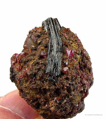 Boron trong đá painite và các khoáng thạch có borat khác có thể có nguồn gốc từ những vùng biển nông xung quanh khối đất mới hình thành.