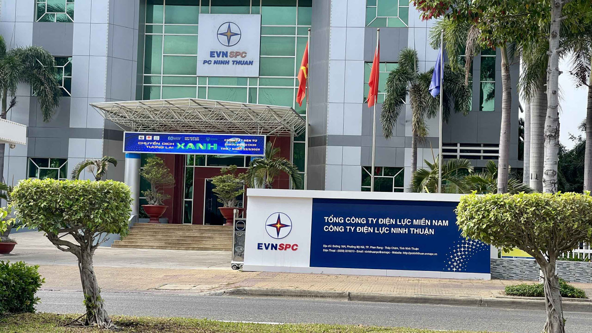 Dien luc Ninh Thuan: 2 goi cai tao, nang cap he thong NLS ve tay Cty PIDI-Hinh-3