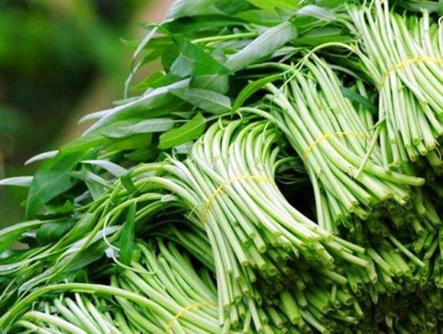 Giai oan cho rau muong, loai rau bi coi la sieu tich tru chat doc-Hinh-3
