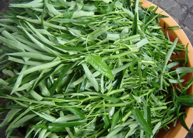 Giai oan cho rau muong, loai rau bi coi la sieu tich tru chat doc-Hinh-4