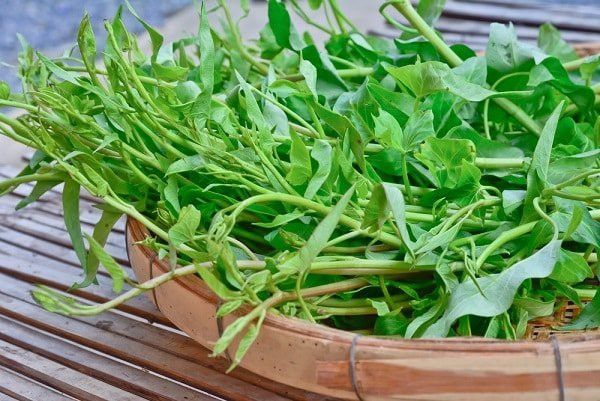 Giai oan cho rau muong, loai rau bi coi la sieu tich tru chat doc-Hinh-8