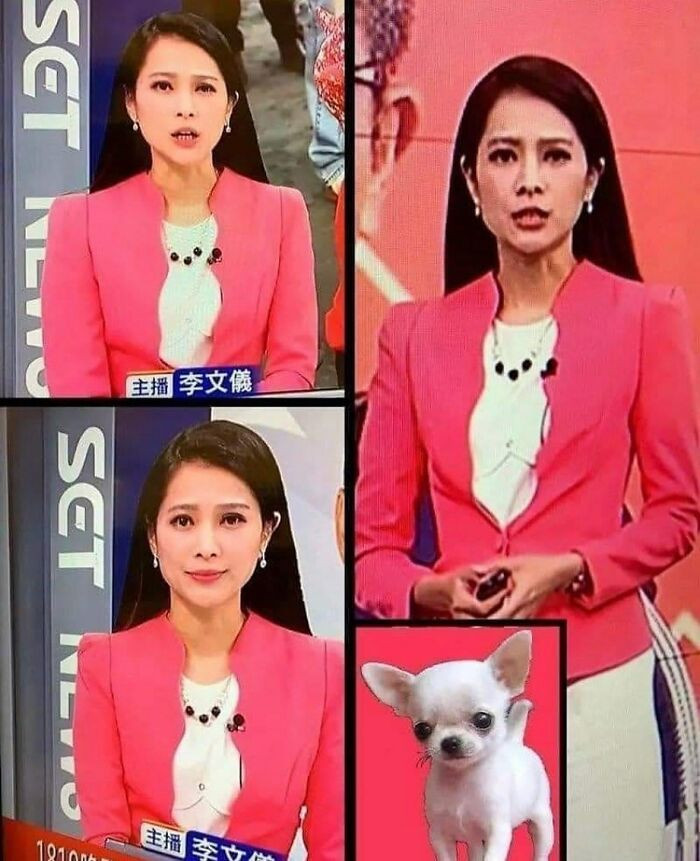 Sự kết hợp trang phục và phụ kiện không cẩn thận đã khiến nữ phát thanh viên Trung Quốc trở thành trò cười cho nhiều khán giả.