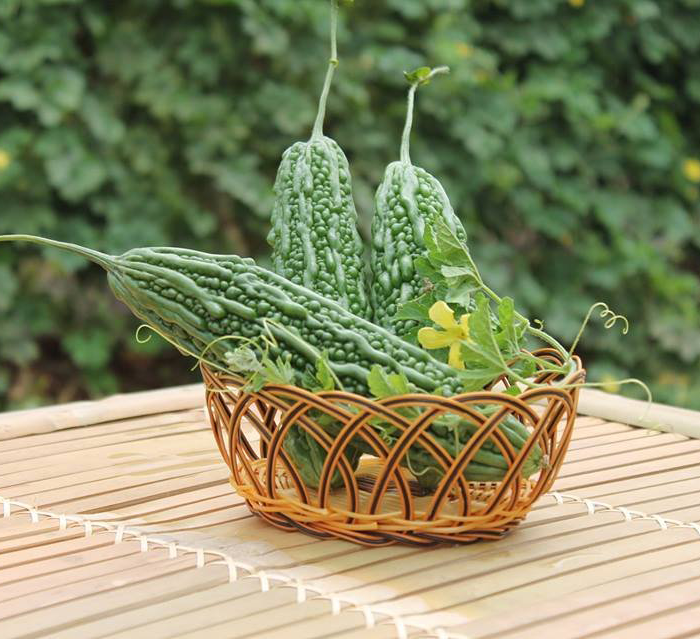 Cũng có nghiên cứu cho thấy mướp đắng còn làm tăng sự bài tiết insulin của tuyến tụy, giúp giảm hấp thụ glucose ở ruột, thay vào đó làm tăng khả năng hấp thụ và sử dụng glucose ở các mô ngoại vi. Kết quả là giảm lượng đường trong máu.